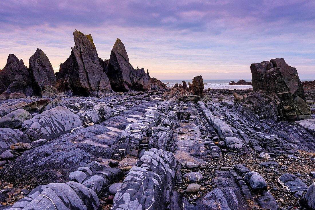 Felsen ausgesetzt bei Ebbe bei Duckpool an der Heritage Coast von North Cornwall, England.