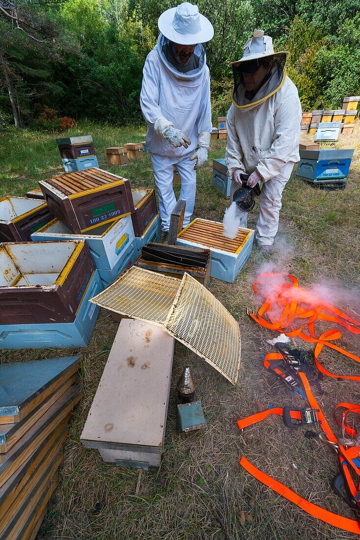 Pedro Arto Beekeeper, Aragües del Puerto Village, Jacetania, Huesca, Aragon, Spain, Europe.