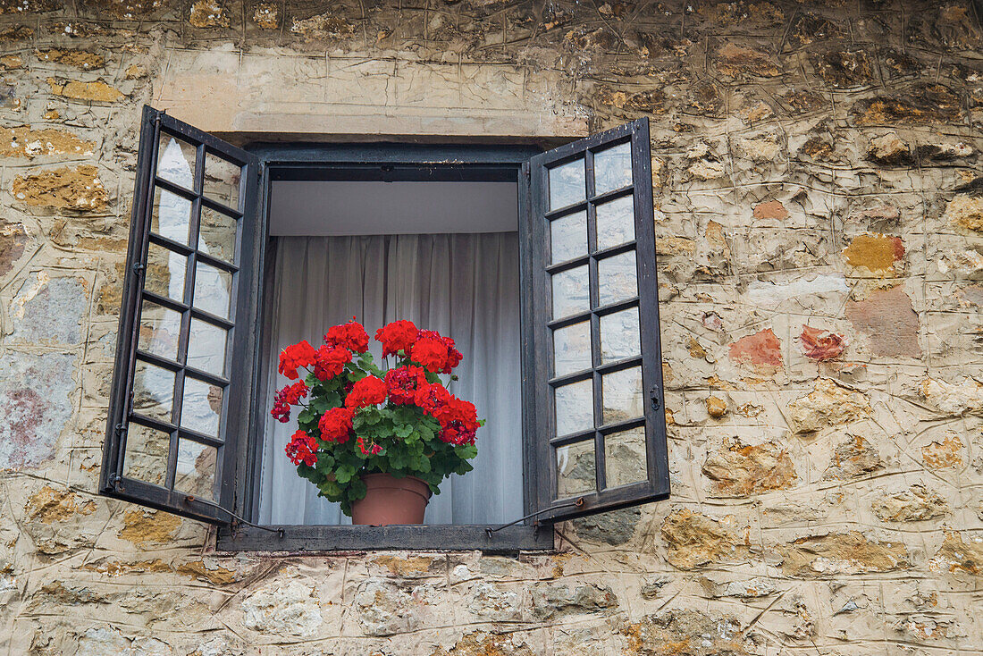 Geblühte Pelargonie in einem offenen Fenster. Santillana del Mar, Kantabrien, Spanien.