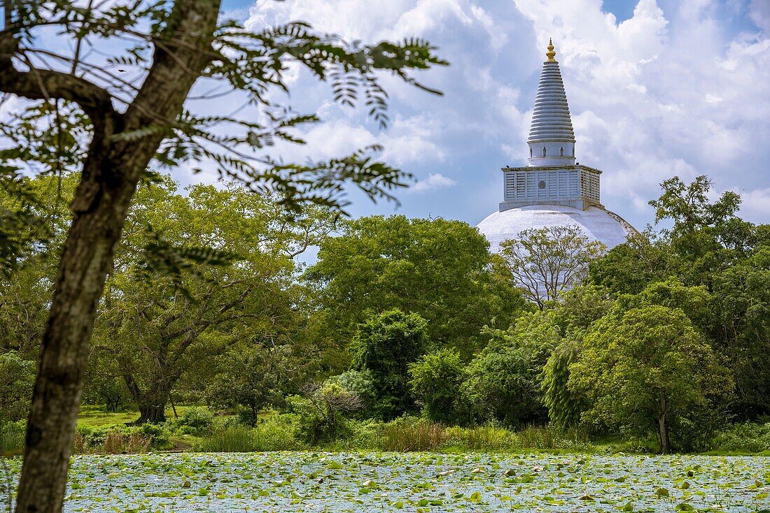 Mirisawetiya Vihara Stupa oder Mirisavati Dagoba, gebaut von König Dutugamunu. Heilige Stadt Anuradhapura, Nord-Zentral-Provinz, Sri Lanka, Asien.