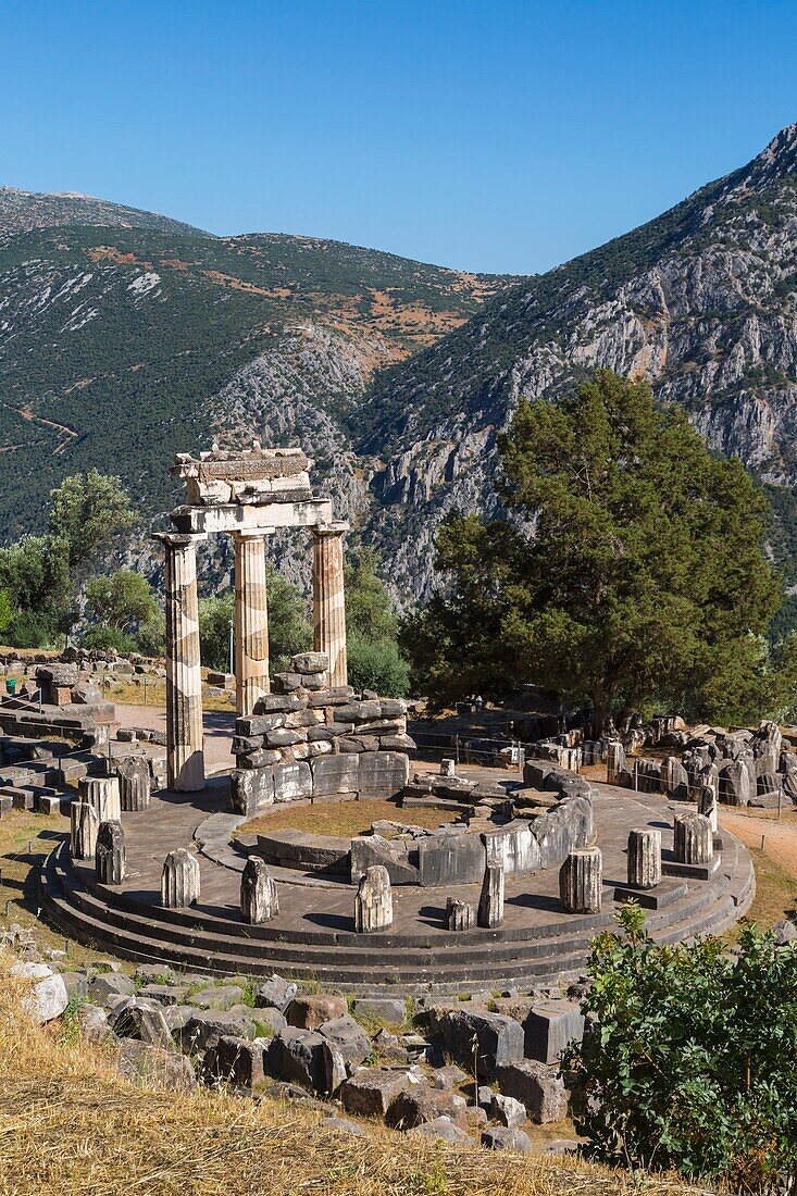 Delphi, Phocis, Greece. The tholos, dating from around 380-360 BC, beside the Sanctuary of Athena Pronaia. Ancient Delphi is a UNESCO World Heritage Site.