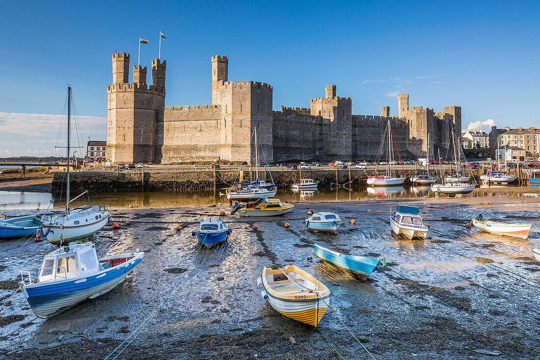 Caernarfon Castle, Gwynedd, Wales, United Kingdom, Europe.