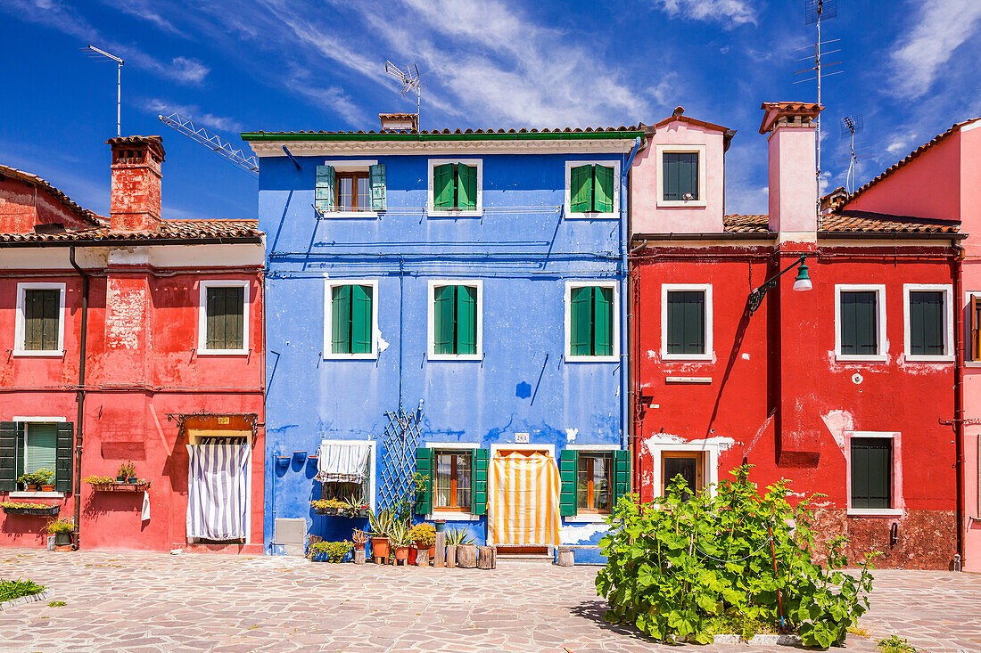 Colored houses at Corte della Comare, Burano, Veneto, Italy, Europe.
