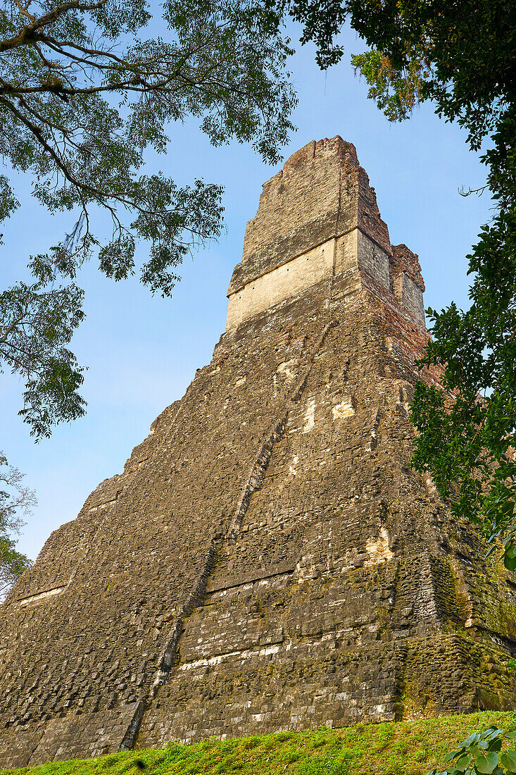 Maya Ruins - Temple of the Great Jaguar (Templo del Gran Jaguar), Tikal National Park, Guatemala, UNESCO.