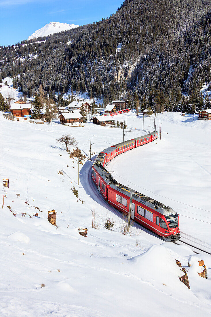 Red train of Rhaetian Railway passes in the snowy landscape of Arosa, district of Plessur, Canton of Graubunden, Switzerland, Europe