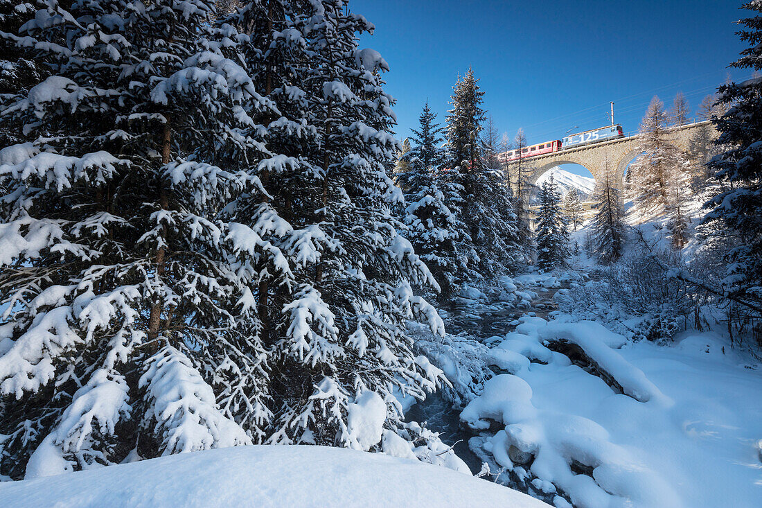 Rhaetian Railway on the Chapella Viadukt surrounded by snowy woods, Canton of Graubunden, Engadine, Switzerland, Europe