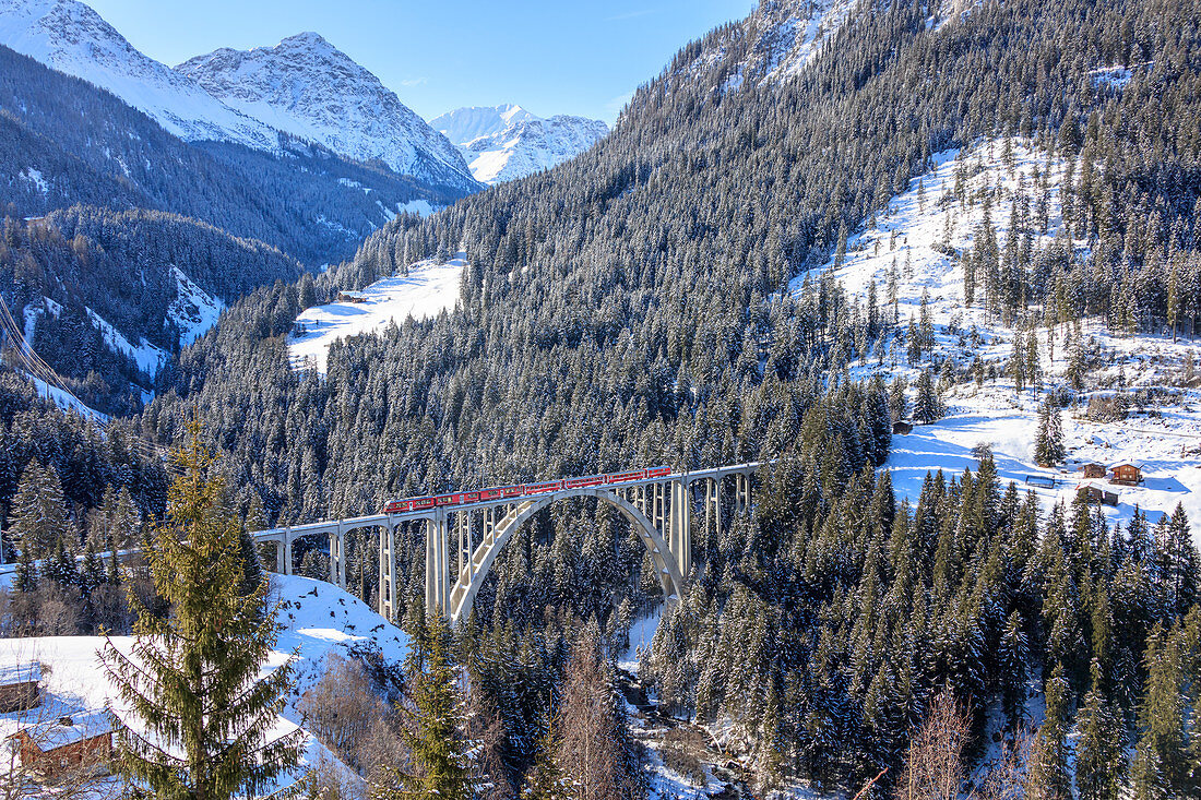 Red train of Rhaetian Railway on Langwieser Viaduct surrounded by snowy woods, Canton of Graubunden, Switzerland, Europe