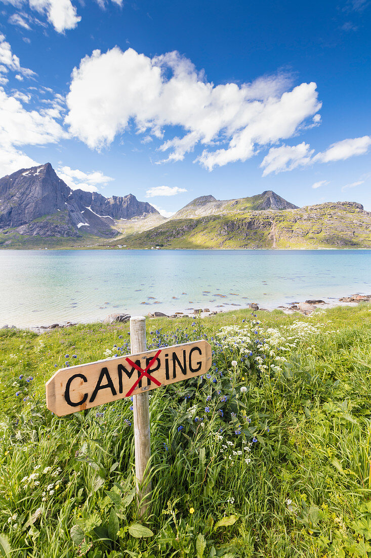 Green meadows and flowers frame the turquoise sea surrounded by peaks, Strandveien, Lofoten Islands, Norway, Scandinavia, Europe