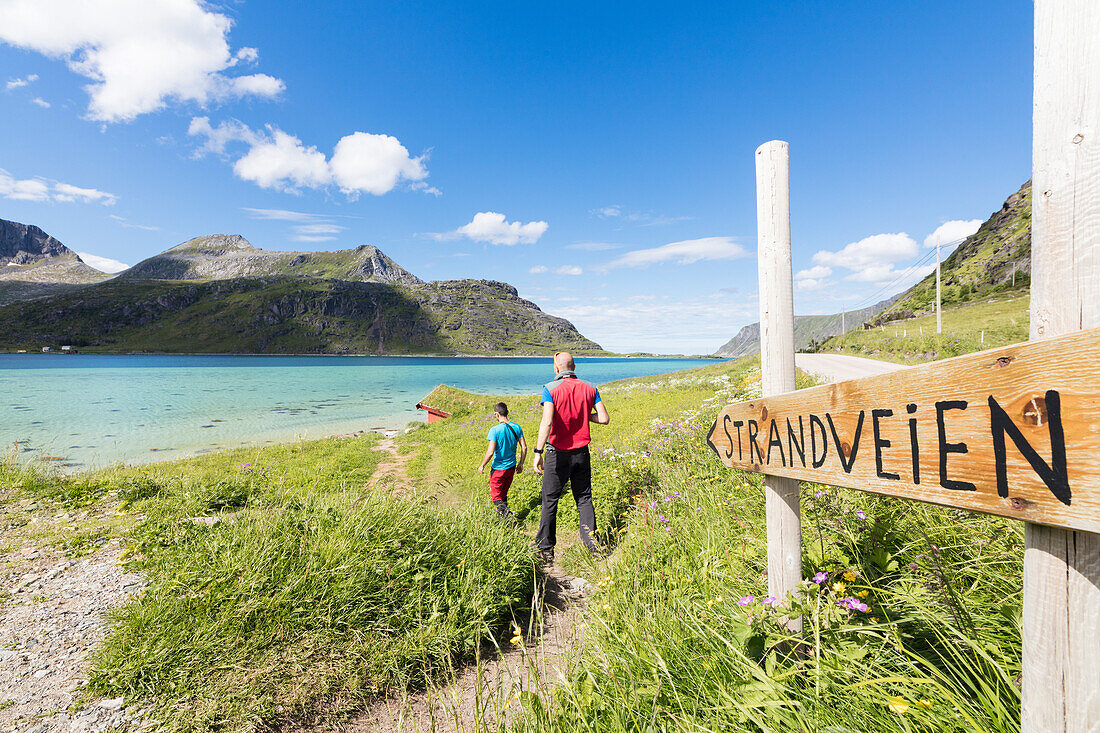 Hikers on footpath in between the green meadows and turquoise sea, Strandveien, Lofoten Islands, Norway, Scandinavia, Europe