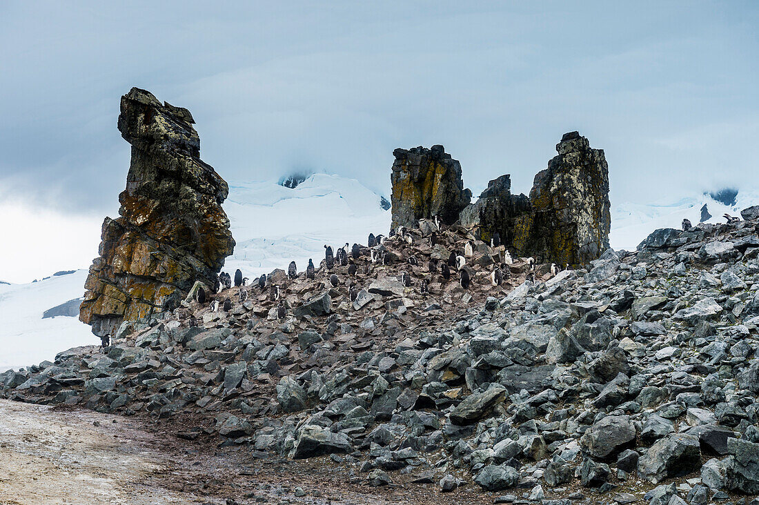 Penguins below dramatic rock formations, Half Moon Bay, South Sheltand Islands, Antarctica, Polar Regions