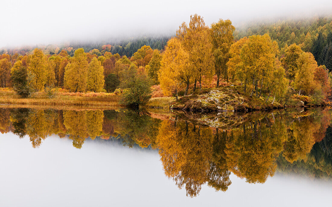 Golden colour of autumn with trees and fog reflected in Loch Tummel, Pitlochry, Perthshire, Scotland, United Kingdom, Europe