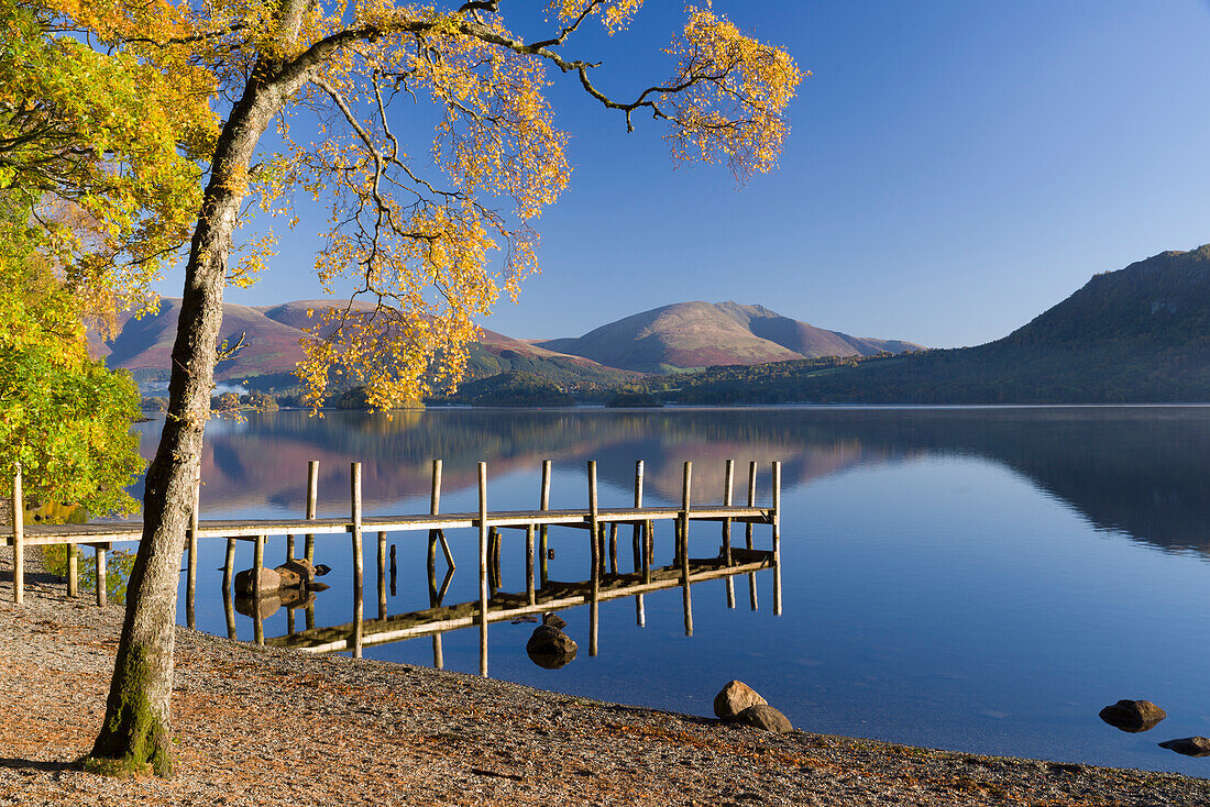 Autumn sunshine over Brandlehow, Borrowdale, The Lake District National Park, Cumbria, England, United Kingdom, Europe