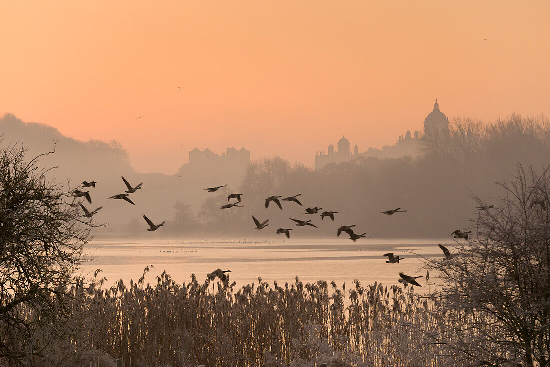 A misty sunrise over the Great Lake on the Castle Howard Estate, North Yorkshire, Yorkshire, England, United Kingdom, Europe