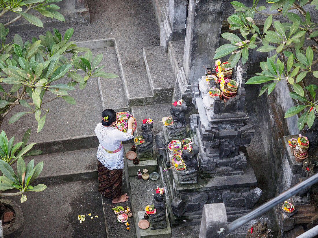 Woman giving offerings at a shrine, Ubud, Bali, Indonesia, Southeast Asia, Asia
