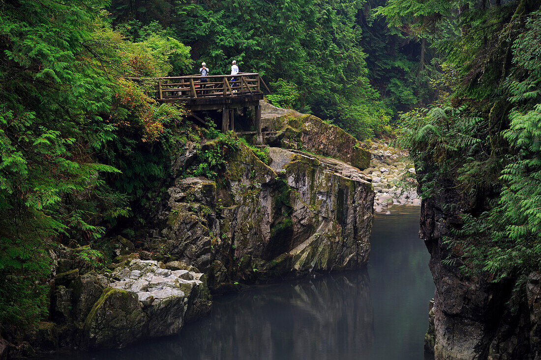 Capilano River Regional Park, Vancouver, British Columbia, Canada, North America