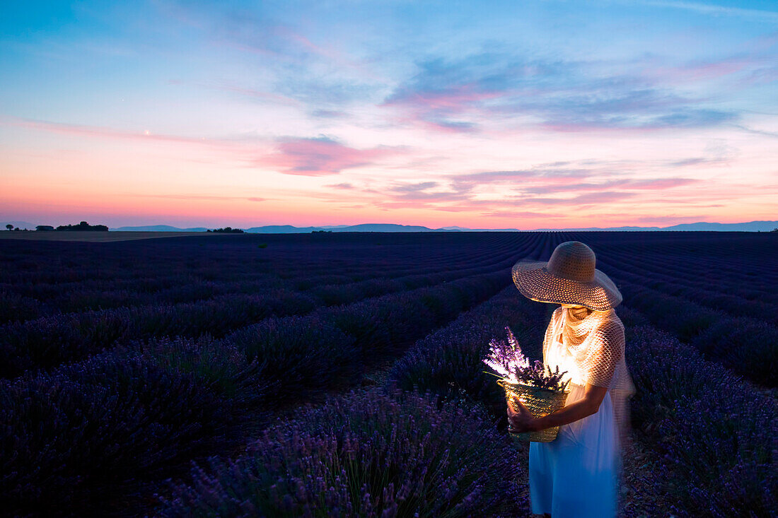 Europe, France, Provence Alpes Cote d'Azur, Plateau de Valensole, Woman in lavender field at dusk