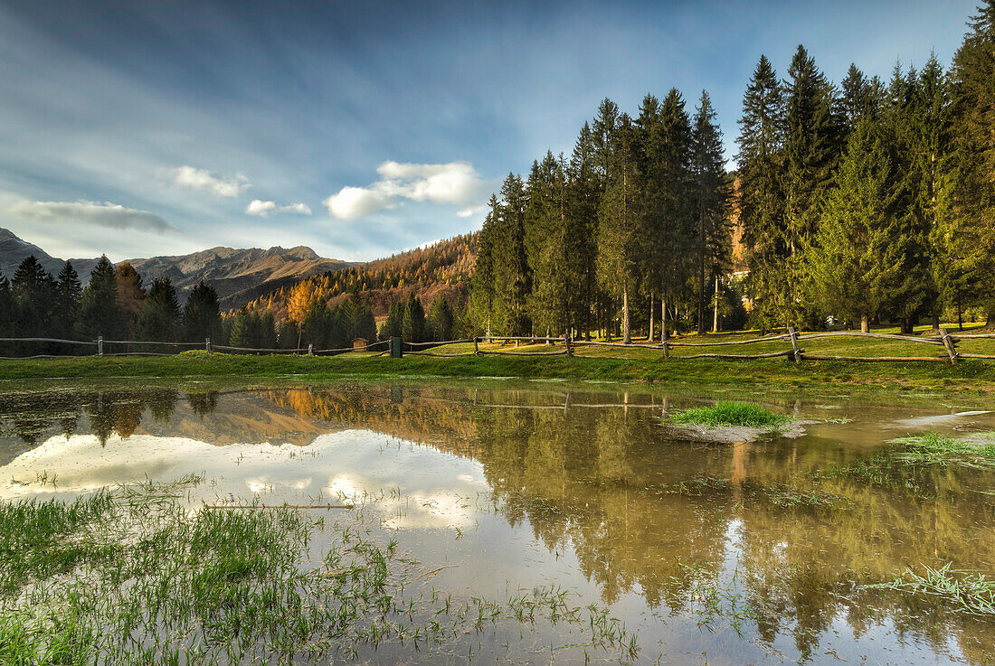 Spiazzi di Gromo, Bergamo, Lombardy, A small artificial lake with reflections