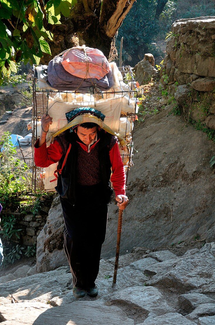 Carrier along a mountain path that connects many villages, Nepal