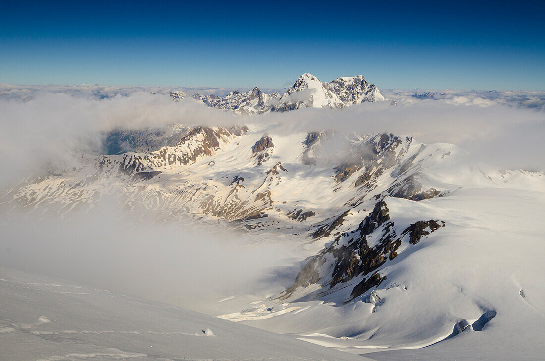 Konigspitze and Ortler seen from Cevedale Valtellina, Lombardy, Italian Alps