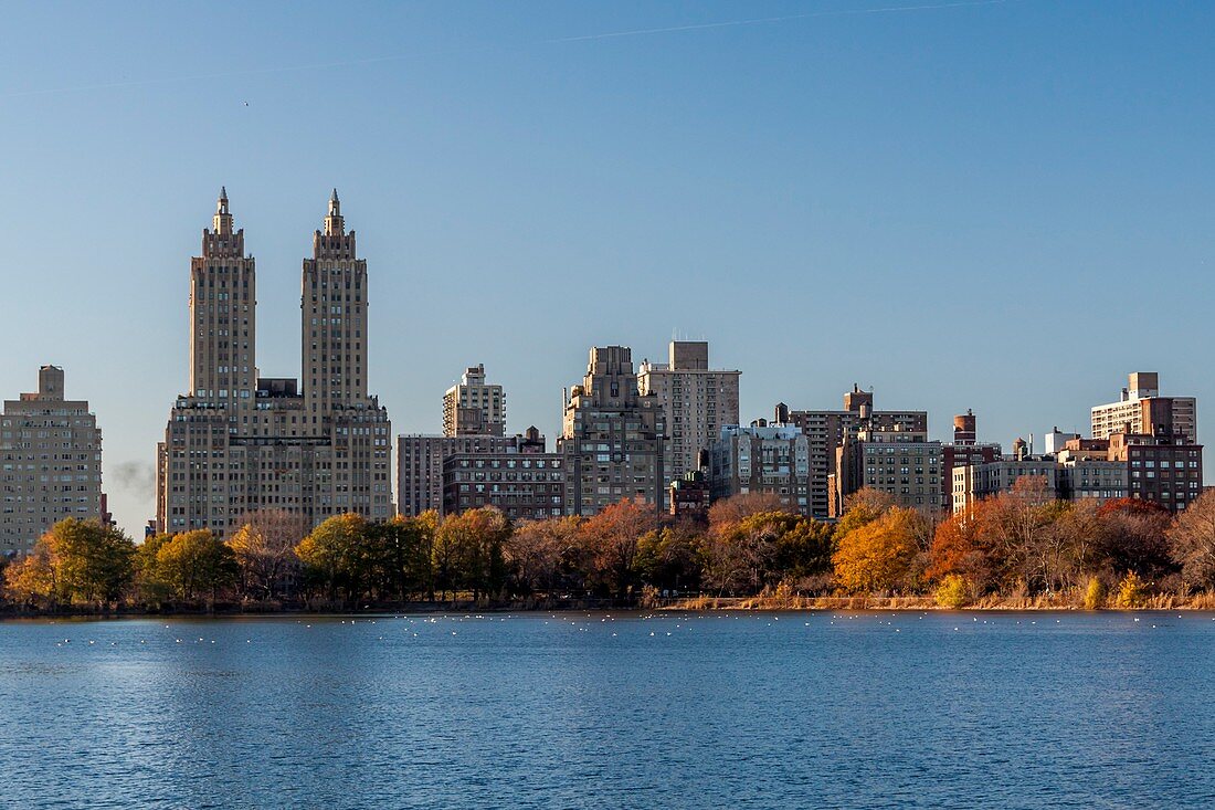 runner in Central Park, New York City, USA