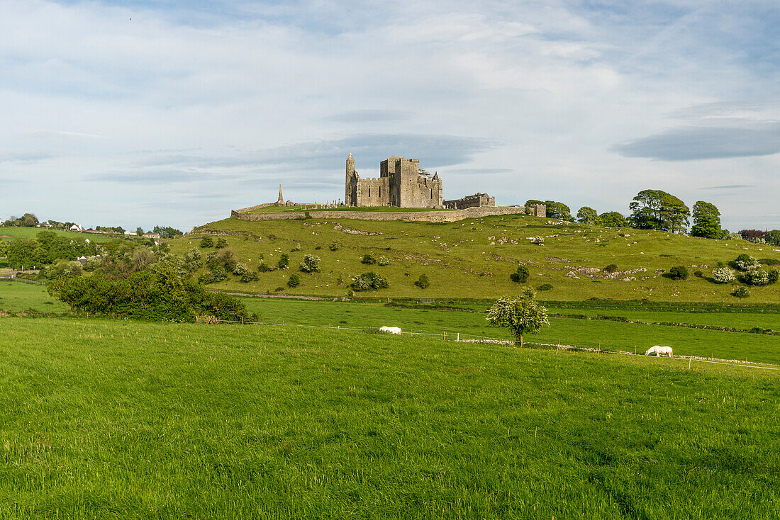 Rock of Cashel, Cashel, Co, Tipperary, Munster, Ireland, Europe