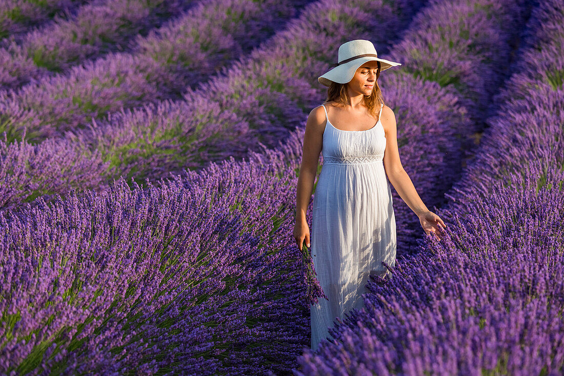Woman with hat in a lavender field, Plateau de Valensole, Alpes, de, Haute, Provence, Provence, Alpes, C+¦te d'Azur, France, Europe