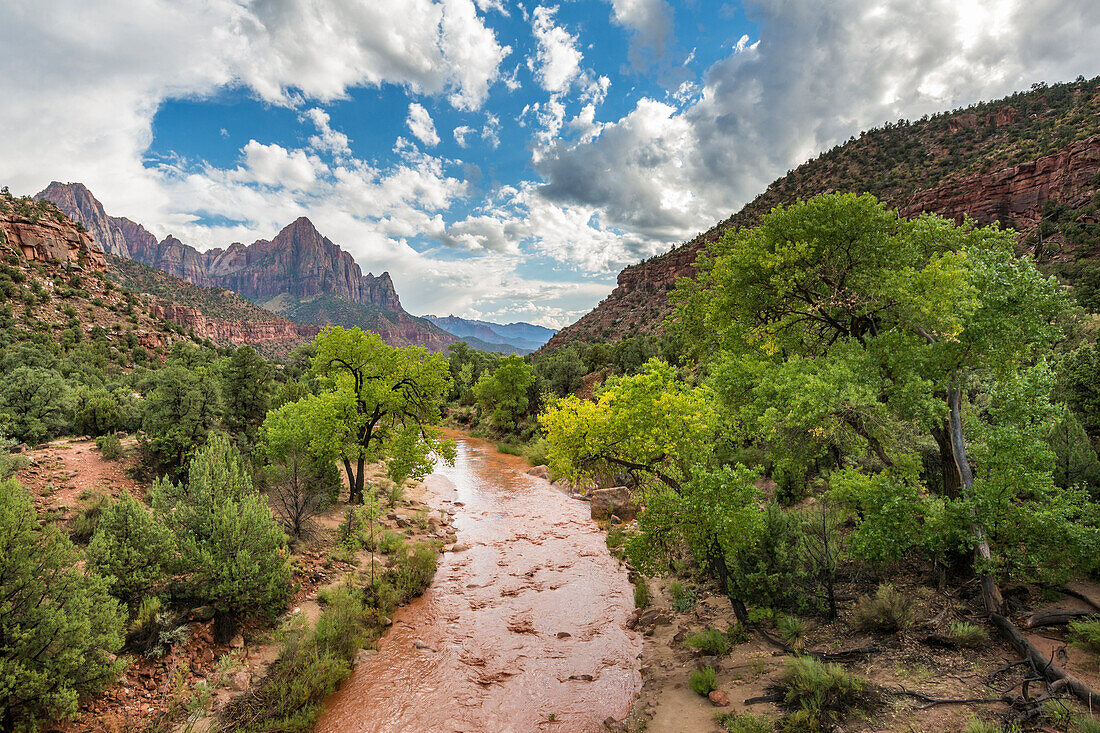 Virgin River after a sudden flash flood, Zion National Park, Hurricane, Washington County, Utah, USA