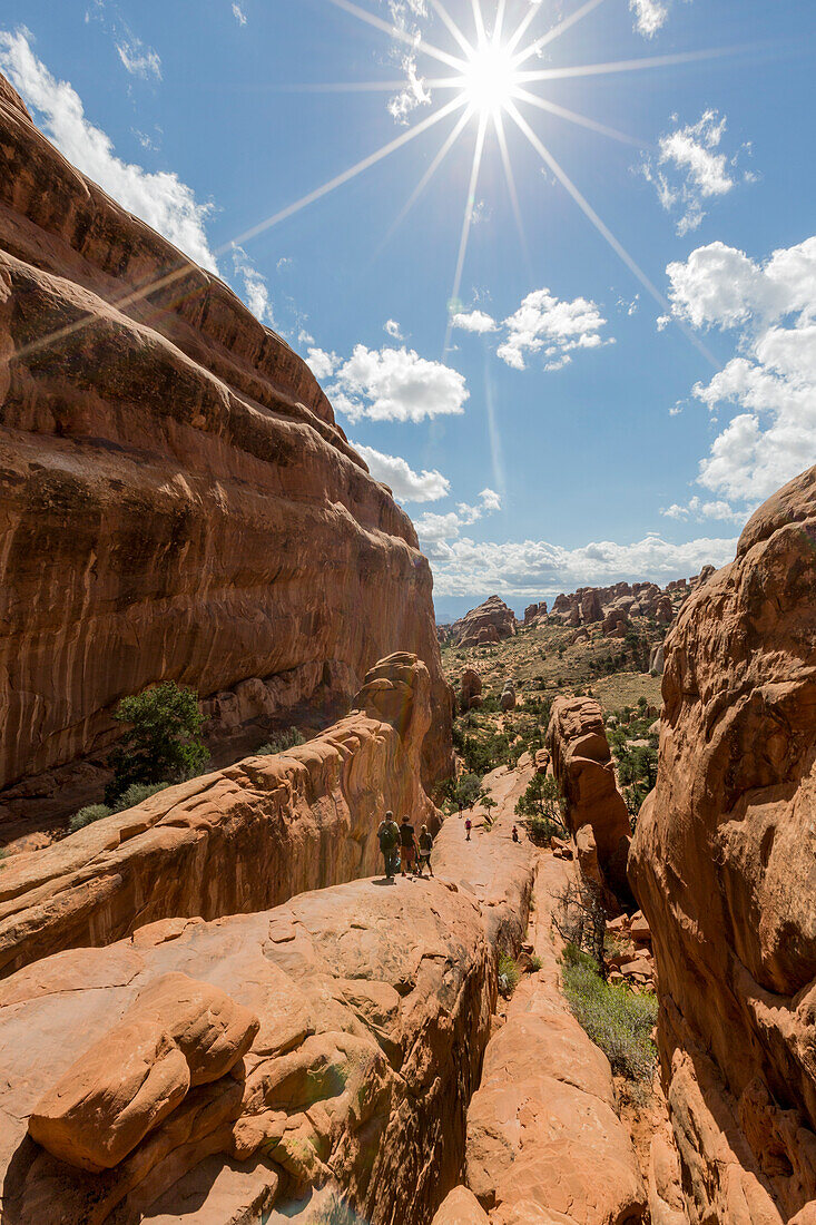 Devil's Garden trailhead, Arches National Park, Moab, Grand County, Utah, USA