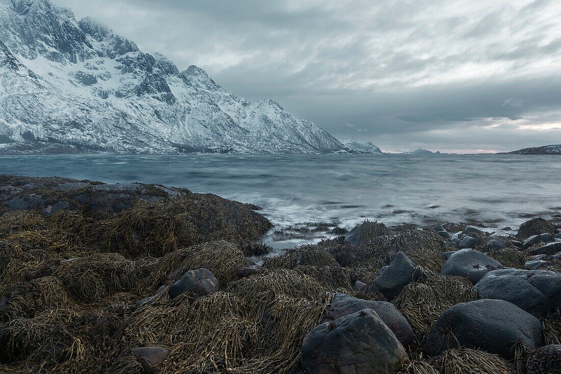 Myrland fjords , Lofoten islands, Norway
