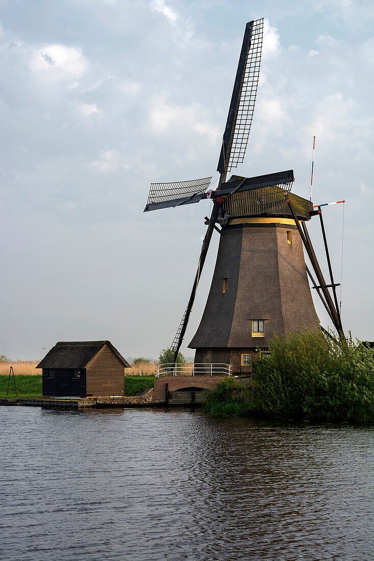 Kinderdijk, Molenwaard , Holland