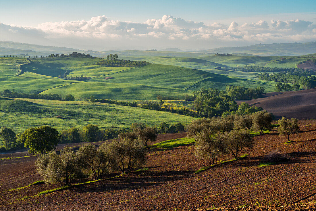 Europe, Italy, Tuscany hills in Orcia valley, province of Siena, Tuscany