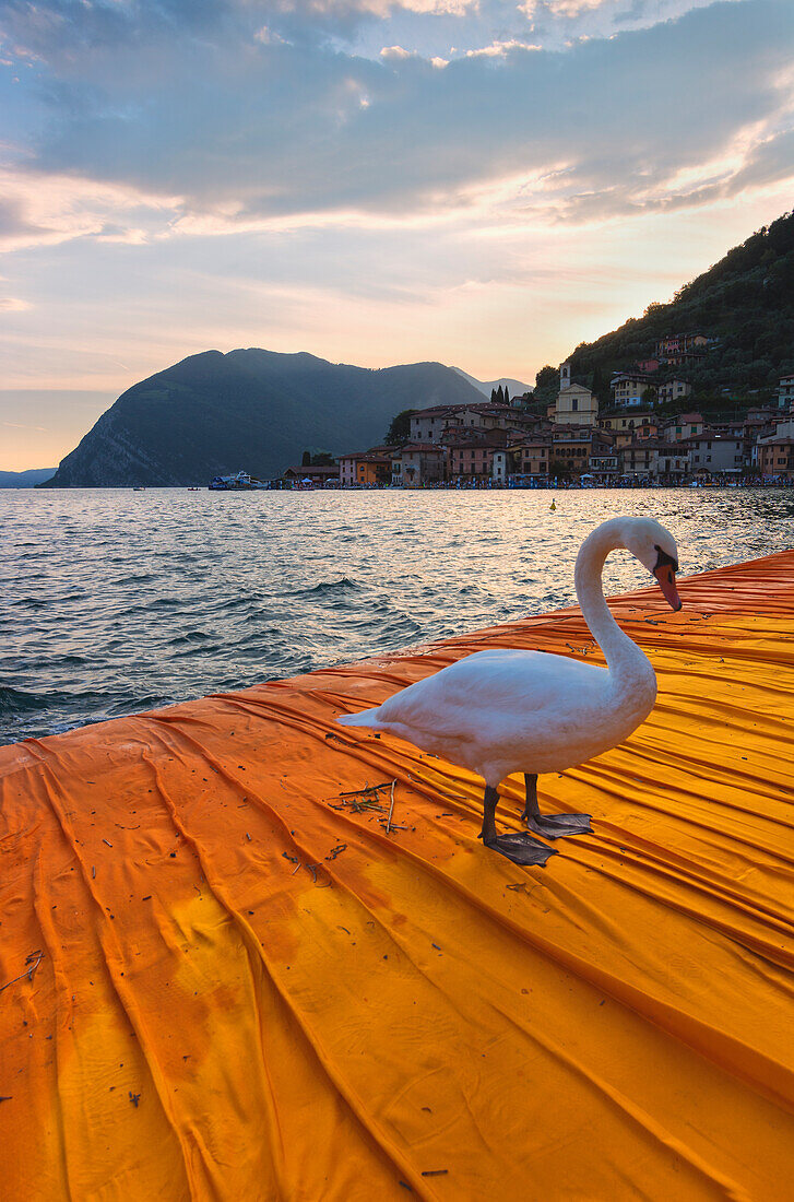 Europe, Italy, the Floating piers in iseo lake, province of Brescia