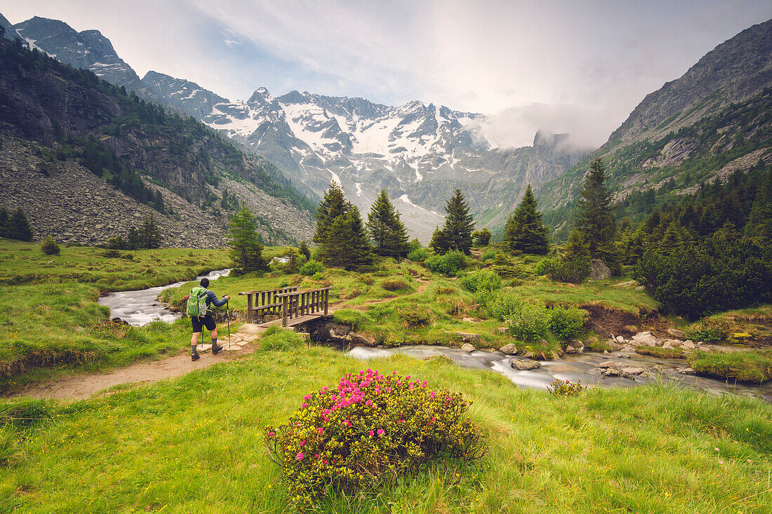 Europe, Italy, trekking in Adamello park, province of Brescia