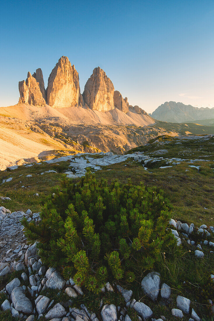 Three Peaks at sunset, Bolzano Province, Trentino Alto Adige, Italy