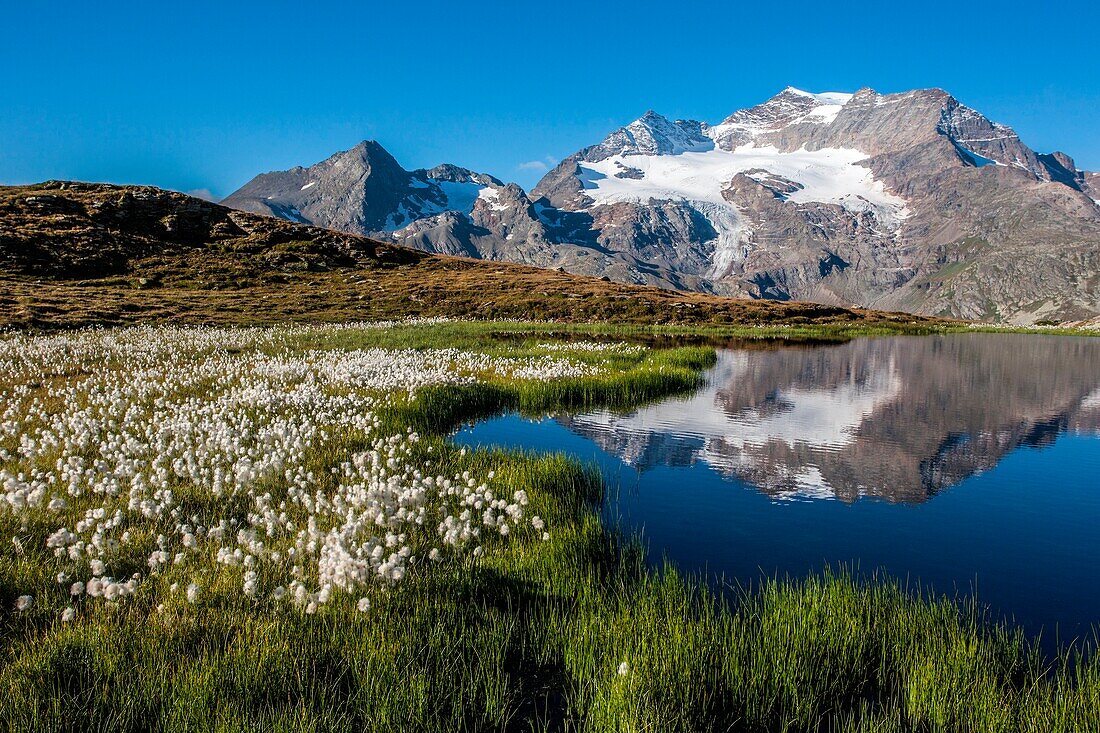 Switzerland, lake reflection from Bernina pass, in the background Cambrena peak