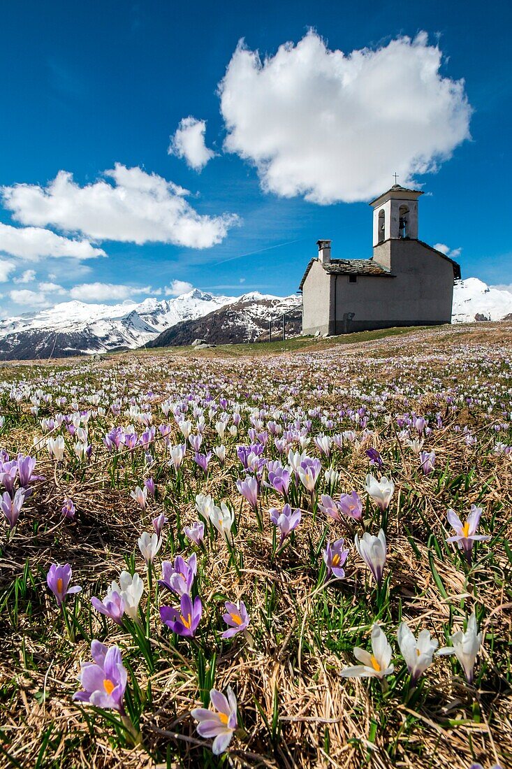 Spring by the church of Andossi, Valchiavenna, Italy