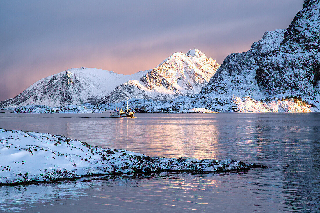 Fishing boat returning to port from a fishing trip off the coast of Henningsvaer, Lofoten Islands, Norway, Europe