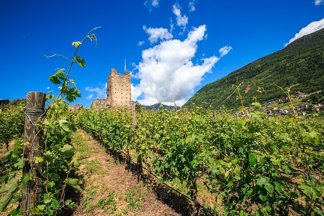 The Castle Grumello was built on a rocky moraine in the average Valtellina, The population used to produce wine because the area is always exposed to the sun, Montagna in Valtellina, Sondrio, Lombardy, Italy, Europe