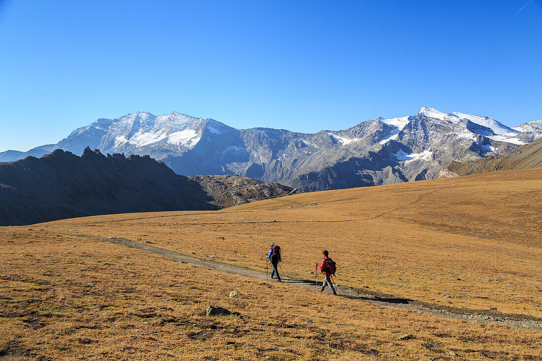 Hikers wallking along Hill of Nivolet, Gran Paradiso national park, Alpi Graie