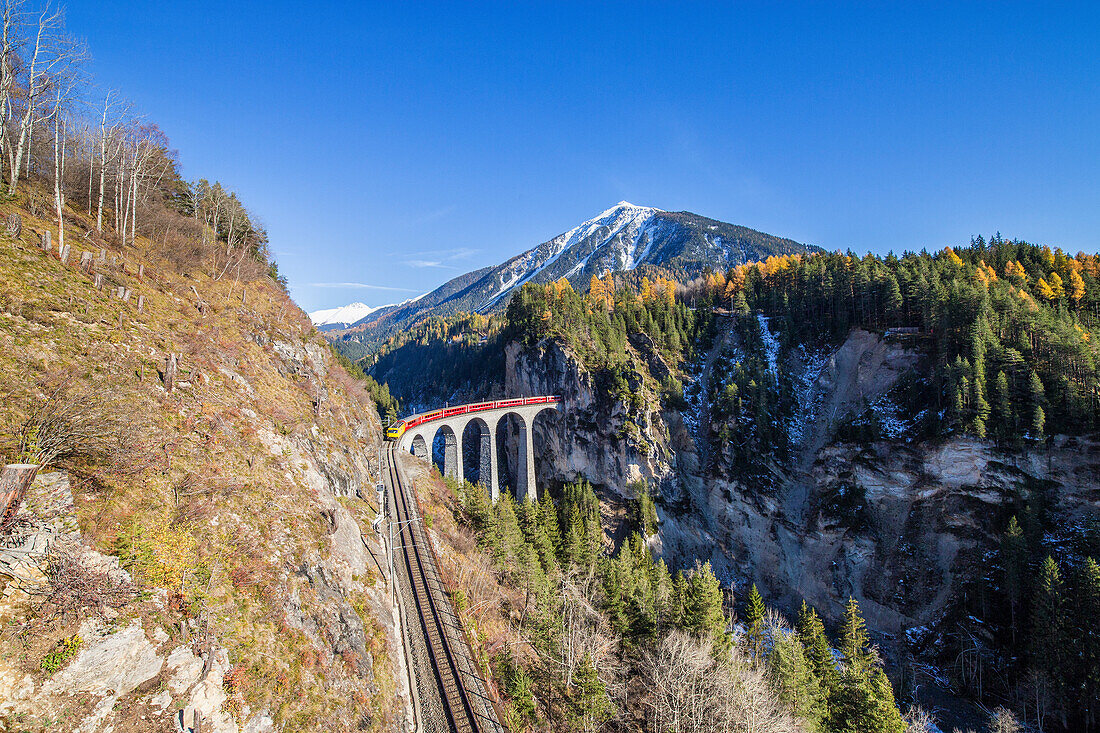 Bernina Express passes through Landwasser Viadukt surrounded by colorful woods Canton of Graub++nden Switzerland Europe