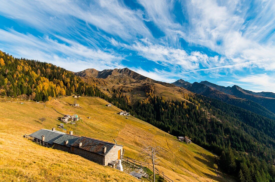 Typical landscape of the mid altitude mountains of north Orobie in autumn, Valgerola, Valtellina, Italy, Alps