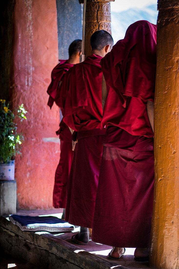 Thiksey Monastery, Indus Valley, Ladakh, India, Asia, Monks in the terrace