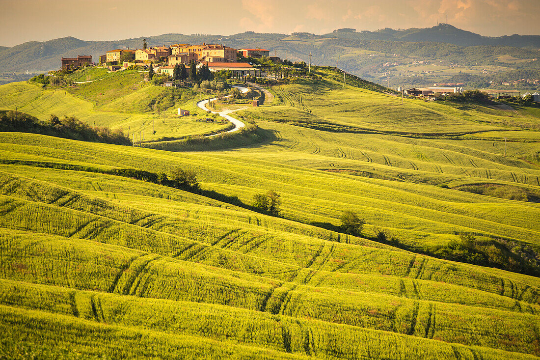 Mucigliani, Crete senesi, Tuscany, Italy