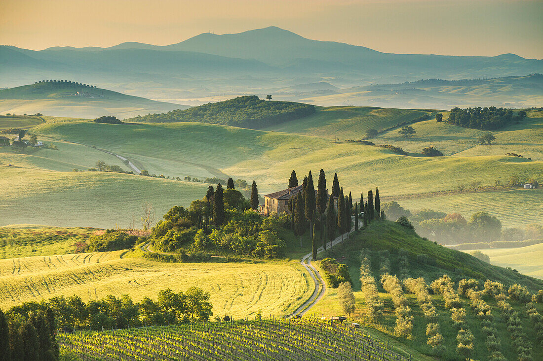 Podere Belvedere, San Quirico d'Orcia, Val d'Orcia, Tuscany, Italy