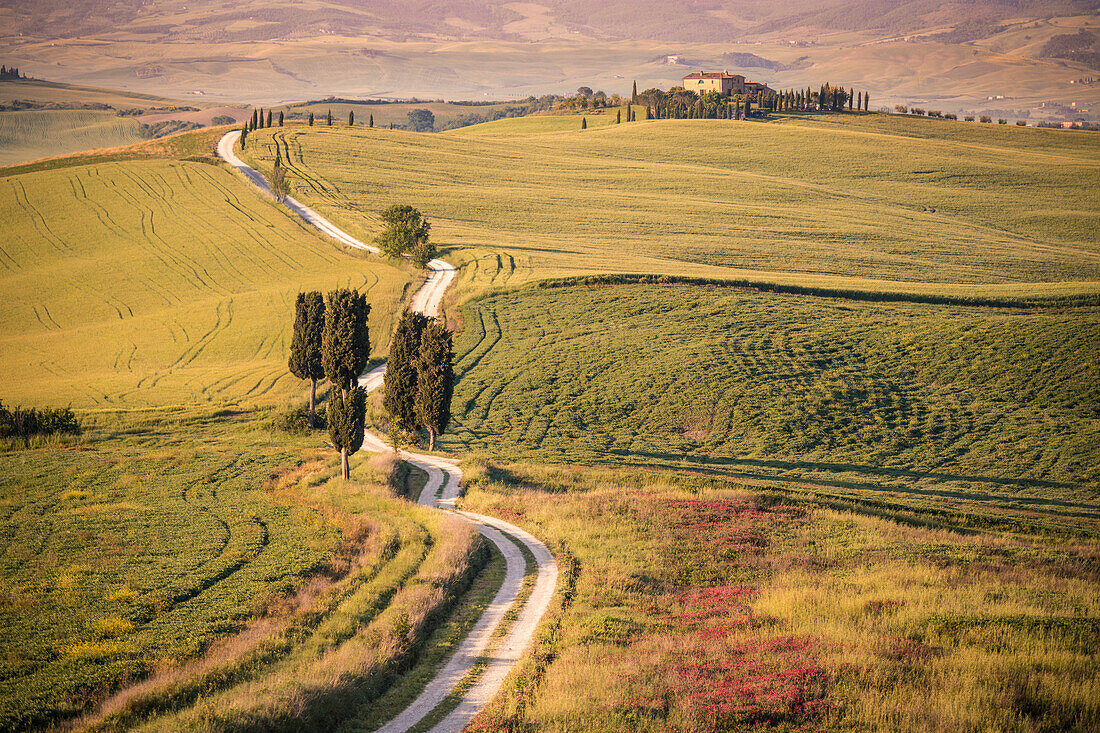 Podere Terrapille, Pienza, Val d'Orcia, Tuscany, Italy