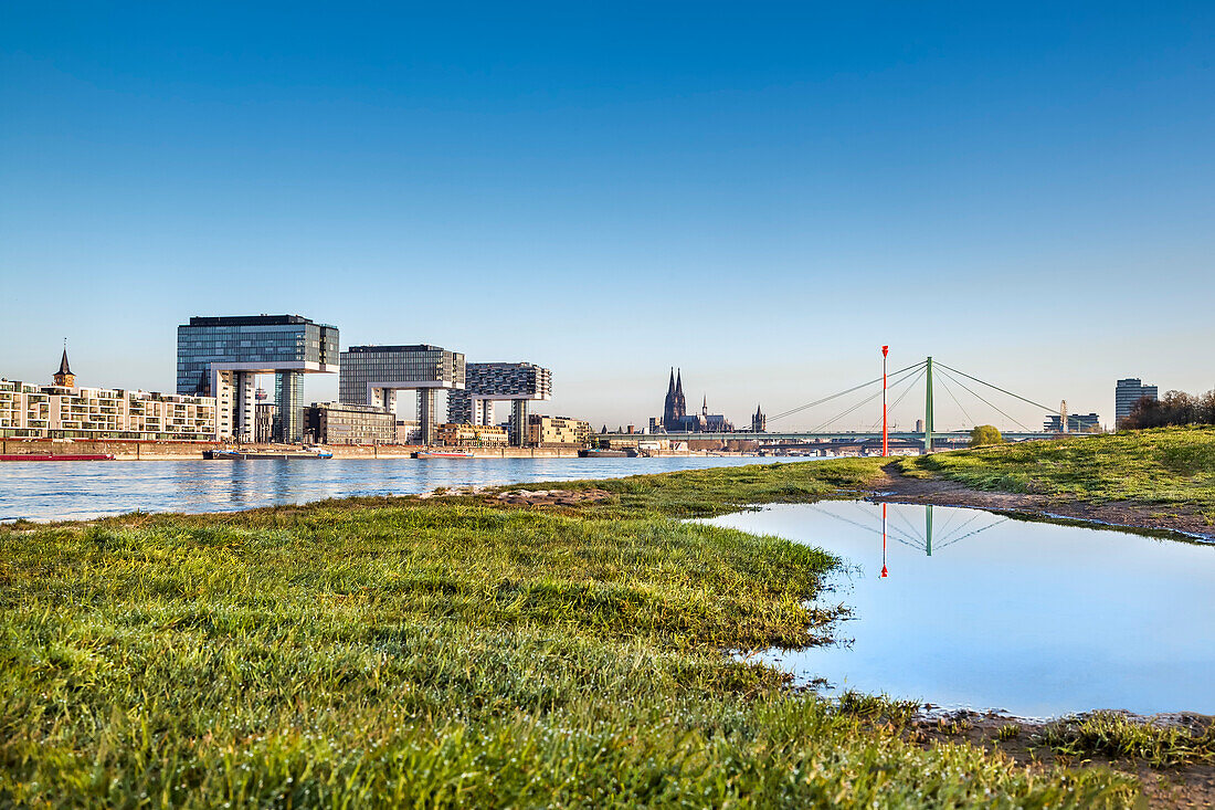 View over river Rhein towards Rheinau harbour with crane houses, Cologne Cathedral, Cologne, North Rhine-Westphalia, Germany