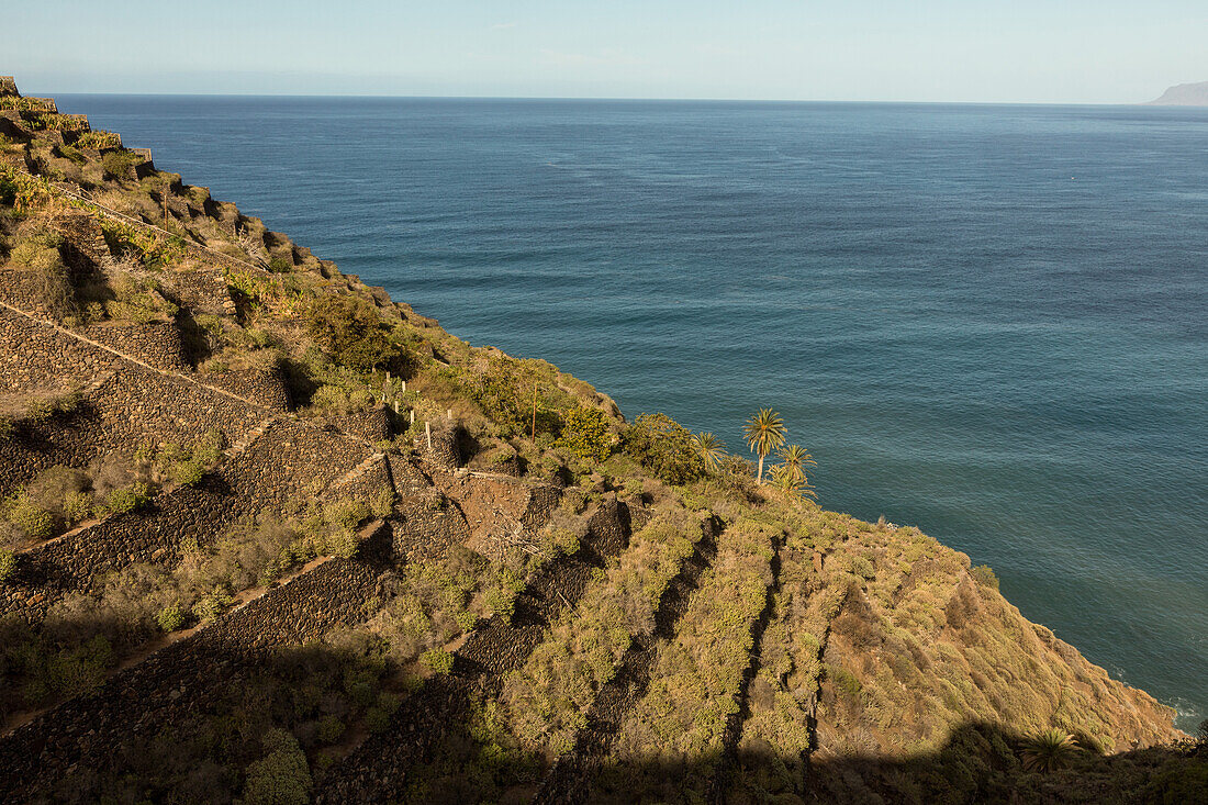 Terrassenfelder, Landschaft, direkt am Meer, Atlantik, La Gomera, Kanaren, Kanarische Inseln, Spanien
