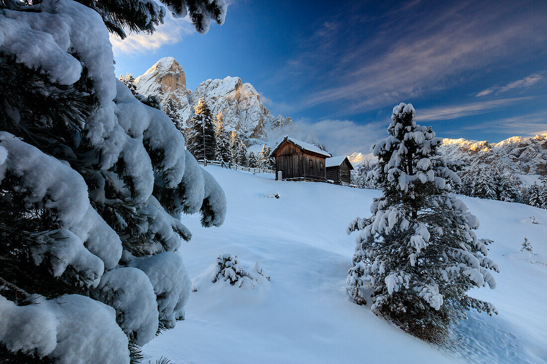 The snowy peak of Sass De Putia frames the wooden hut and woods at dawn, Passo Delle Erbe, Funes Valley, South Tyrol, Italy, Europe