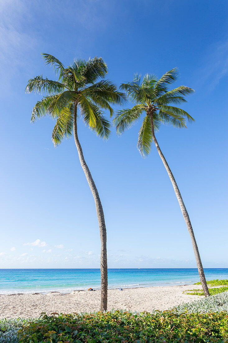 Hastings Beach, Bridgetown, Christ Church, Barbados, West Indies, Caribbean, Central America
