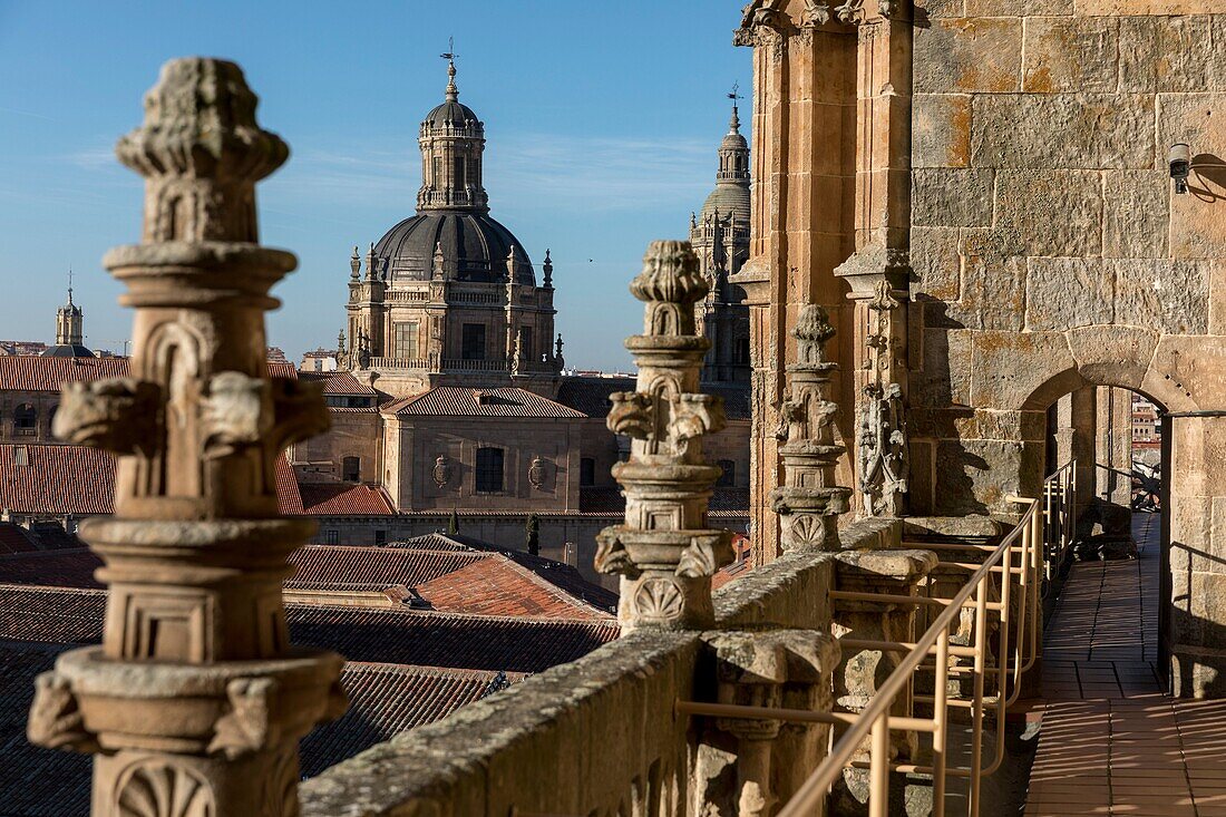 Cathedral, Salamanca, Spain